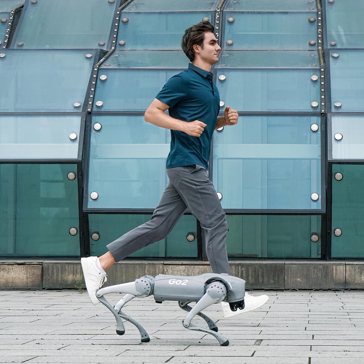 Unitree Go2 Robot Dog Quadruped Robotics for Adults Embodied AI (Go2 Pro) - Without Controller