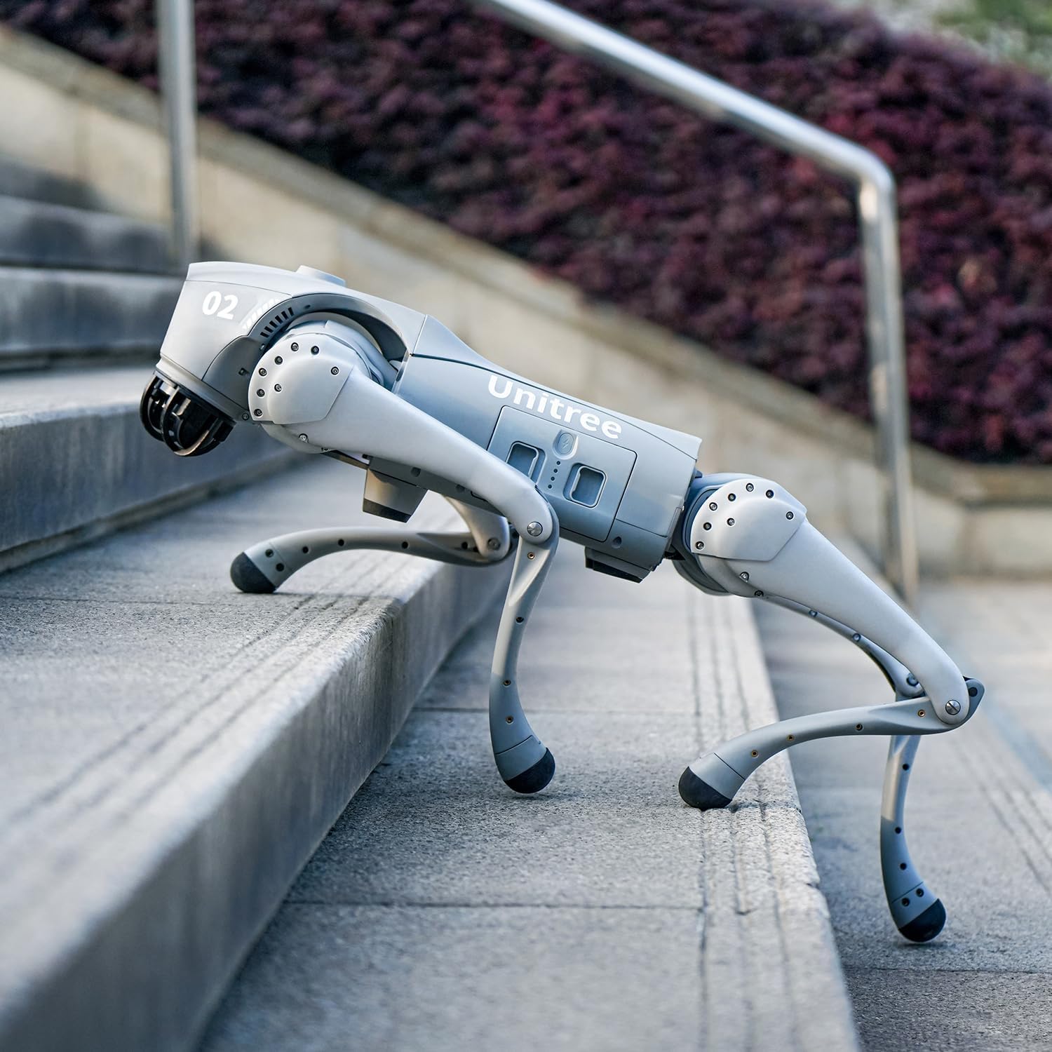 Unitree Go2 Robot Dog Quadruped Robotics for Adults Embodied AI (Go2 Pro) - Without Controller